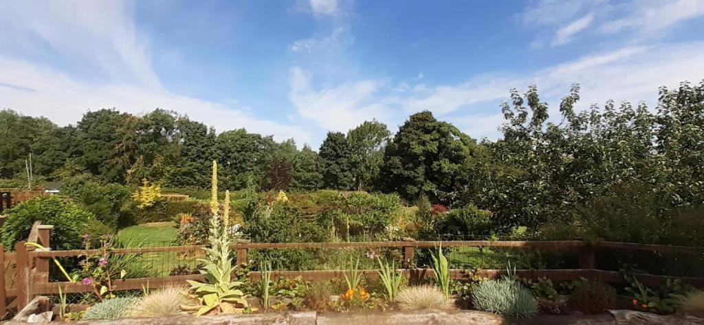 Athelas, Self Catering Cottage Whitby Ngoại thất bức ảnh